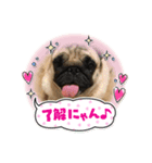 まるちゃん 2（個別スタンプ：3）