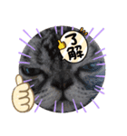 ASH Brothers Five（個別スタンプ：8）