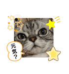 ASH Brothers Five（個別スタンプ：14）
