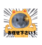 床の間ハムスターぴの子3〜感謝編〜（個別スタンプ：4）