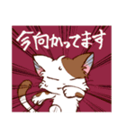 糸目！チームねこかえる（個別スタンプ：16）