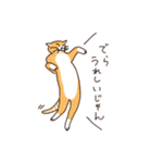 三河弁を話すかわいい猫たち（個別スタンプ：3）