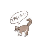 三河弁を話すかわいい猫たち（個別スタンプ：4）