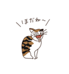 三河弁を話すかわいい猫たち（個別スタンプ：8）