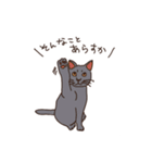 三河弁を話すかわいい猫たち（個別スタンプ：9）