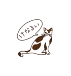 三河弁を話すかわいい猫たち（個別スタンプ：11）