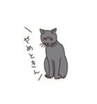 三河弁を話すかわいい猫たち（個別スタンプ：16）