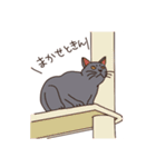 三河弁を話すかわいい猫たち（個別スタンプ：27）