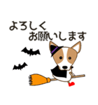 コーギー・犬好きなあなたへ  秋 日常会話（個別スタンプ：9）