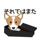 コーギー・犬好きなあなたへ  秋 日常会話（個別スタンプ：15）