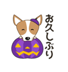 コーギー・犬好きなあなたへ  秋 日常会話（個別スタンプ：22）