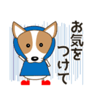 コーギー・犬好きなあなたへ  秋 日常会話（個別スタンプ：26）