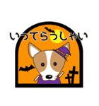 コーギー・犬好きなあなたへ  秋 日常会話（個別スタンプ：31）