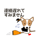 コーギー・犬好きなあなたへ  秋 日常会話（個別スタンプ：34）