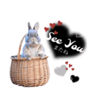 うさぎのぴょんきち*（個別スタンプ：1）