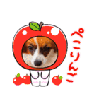 パピヨンすたんぷ♡（個別スタンプ：3）