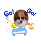 パピヨンすたんぷ♡（個別スタンプ：32）