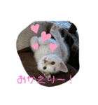 ごまこの日常（個別スタンプ：3）