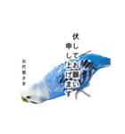 セキセイインコの日常#p2（個別スタンプ：4）