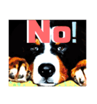 【英語版】バーニーズの可愛い子犬時代（個別スタンプ：4）