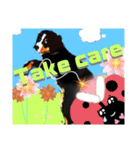 【英語版】バーニーズの可愛い子犬時代（個別スタンプ：22）