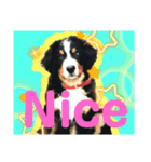 【英語版】バーニーズの可愛い子犬時代（個別スタンプ：23）