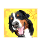 【英語版】バーニーズの可愛い子犬時代（個別スタンプ：27）