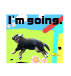 【英語版】バーニーズの可愛い子犬時代（個別スタンプ：32）