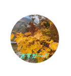 kinko 立山連峰2（個別スタンプ：20）