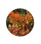 kinko 立山連峰2（個別スタンプ：21）