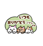 毎日モフねこ（個別スタンプ：8）