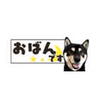 北海道弁☆黒柴てつ（個別スタンプ：5）