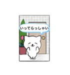 毎日使える♪白ネコさんstamp（個別スタンプ：20）