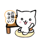 毎日使える♪白ネコさんstamp（個別スタンプ：22）