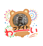子供とシ～サ～（個別スタンプ：11）