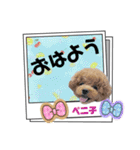 ペニ子☆レタースタンプ日常語②（個別スタンプ：1）