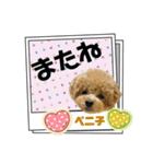 ペニ子☆レタースタンプ日常語②（個別スタンプ：9）