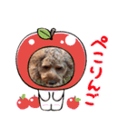 キャバプーのケバブくん2（個別スタンプ：16）