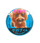 キャバプーのケバブくん2（個別スタンプ：23）