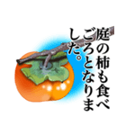 柿～季節のご挨拶・メッセージ～（個別スタンプ：5）
