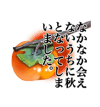 柿～季節のご挨拶・メッセージ～（個別スタンプ：12）