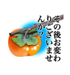 柿～季節のご挨拶・メッセージ～（個別スタンプ：13）