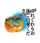 柿～季節のご挨拶・メッセージ～（個別スタンプ：28）