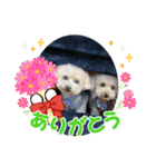 秋バージョン（個別スタンプ：3）