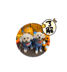 秋バージョン（個別スタンプ：16）