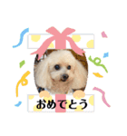 秋バージョン（個別スタンプ：17）