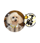 秋バージョン（個別スタンプ：18）