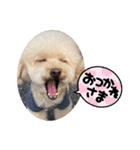 秋バージョン（個別スタンプ：21）