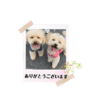 秋バージョン（個別スタンプ：23）