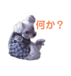 ぽぽちタイム2（個別スタンプ：4）